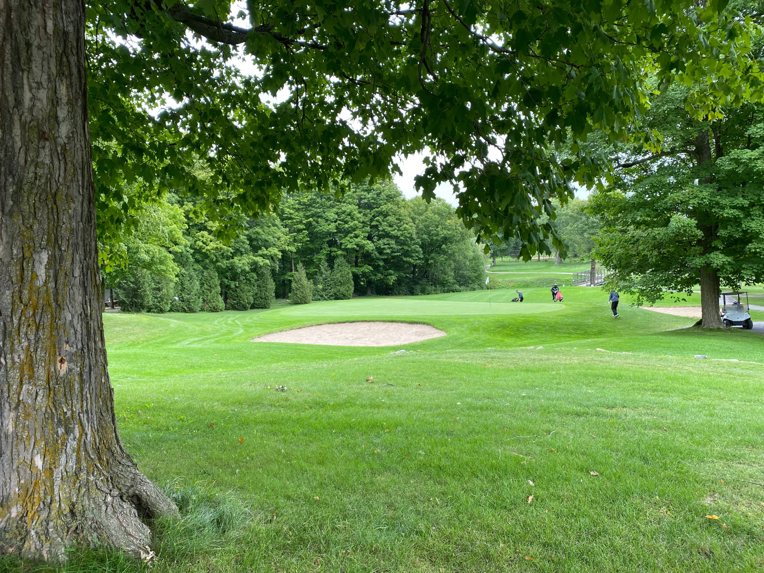 Golf