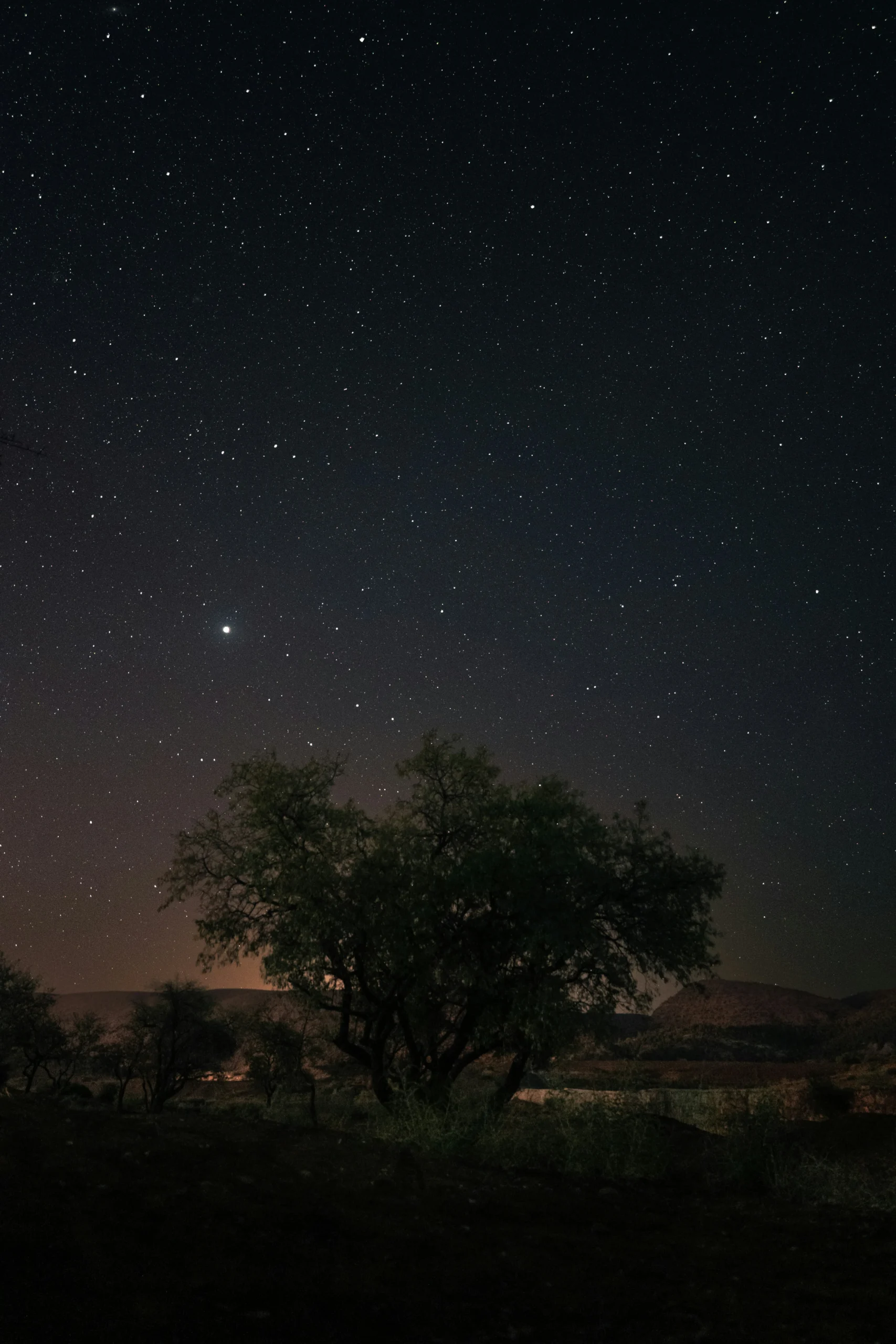 Stargazing